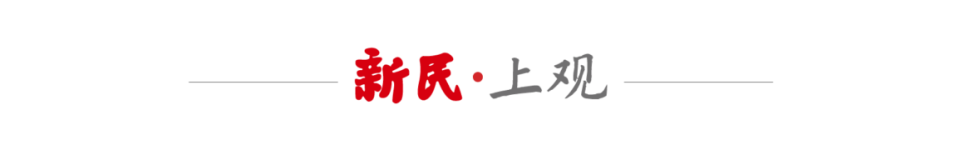 dt, 起千层浪