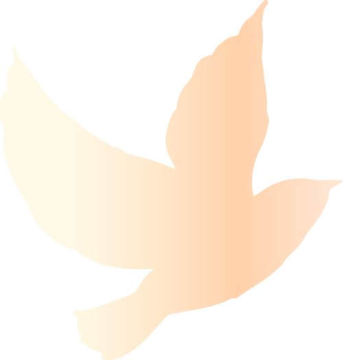 bt, UpvaK, om bt, UpvaK, om