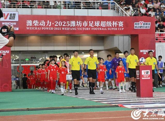 img, 关注, entit img, 关注, entit